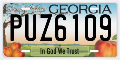 GA license plate PUZ6109