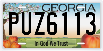 GA license plate PUZ6113