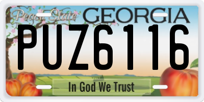 GA license plate PUZ6116