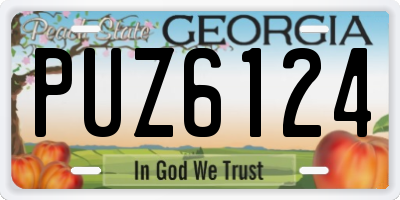 GA license plate PUZ6124