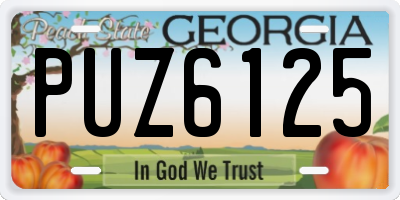 GA license plate PUZ6125