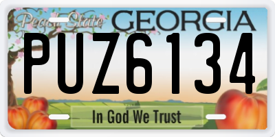 GA license plate PUZ6134