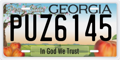 GA license plate PUZ6145