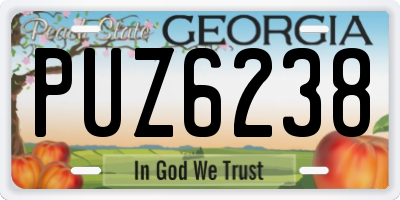 GA license plate PUZ6238