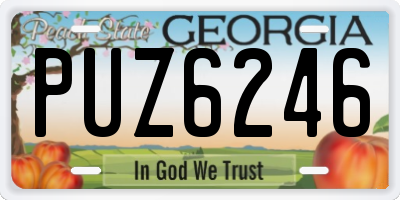 GA license plate PUZ6246