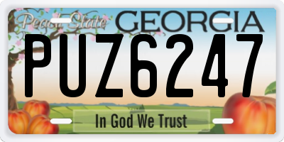 GA license plate PUZ6247