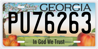GA license plate PUZ6263