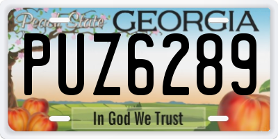 GA license plate PUZ6289
