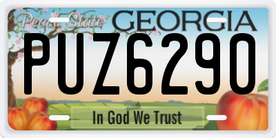 GA license plate PUZ6290