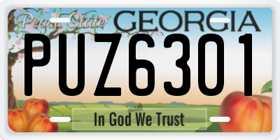GA license plate PUZ6301
