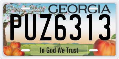 GA license plate PUZ6313