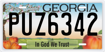 GA license plate PUZ6342