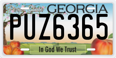 GA license plate PUZ6365