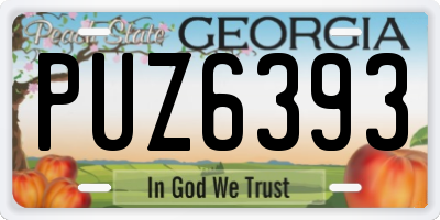 GA license plate PUZ6393