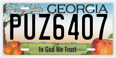 GA license plate PUZ6407