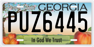 GA license plate PUZ6445