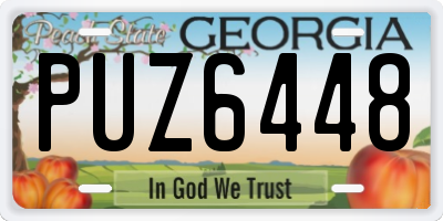 GA license plate PUZ6448