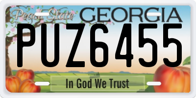 GA license plate PUZ6455