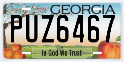 GA license plate PUZ6467
