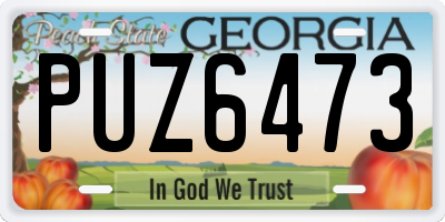 GA license plate PUZ6473