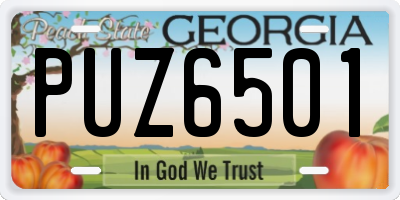 GA license plate PUZ6501