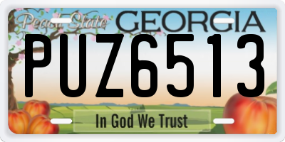 GA license plate PUZ6513