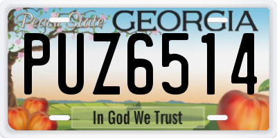 GA license plate PUZ6514