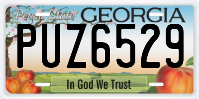 GA license plate PUZ6529