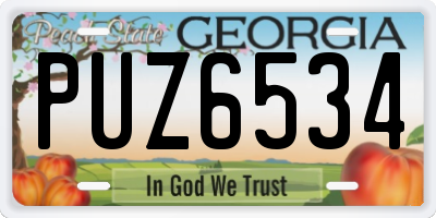 GA license plate PUZ6534