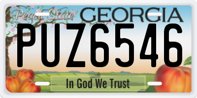 GA license plate PUZ6546