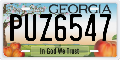 GA license plate PUZ6547