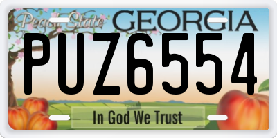 GA license plate PUZ6554