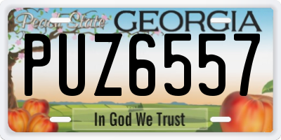 GA license plate PUZ6557