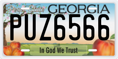 GA license plate PUZ6566