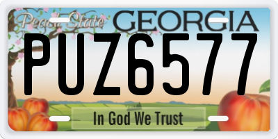 GA license plate PUZ6577