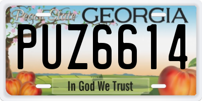 GA license plate PUZ6614