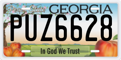 GA license plate PUZ6628