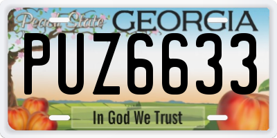 GA license plate PUZ6633