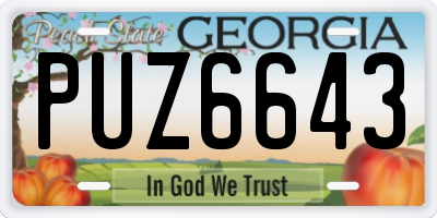 GA license plate PUZ6643