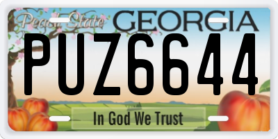 GA license plate PUZ6644