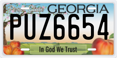 GA license plate PUZ6654