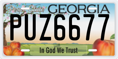 GA license plate PUZ6677