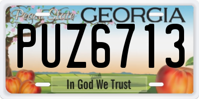 GA license plate PUZ6713