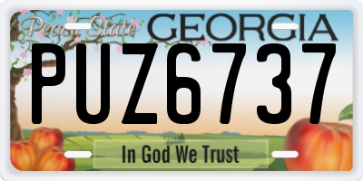 GA license plate PUZ6737