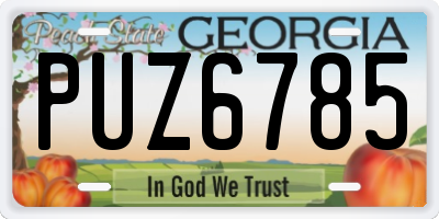 GA license plate PUZ6785