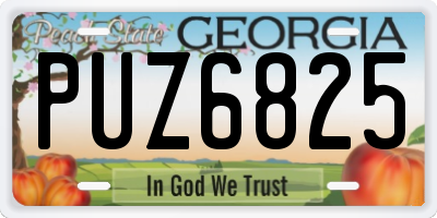 GA license plate PUZ6825