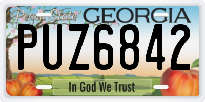 GA license plate PUZ6842