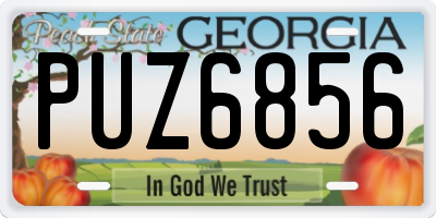 GA license plate PUZ6856