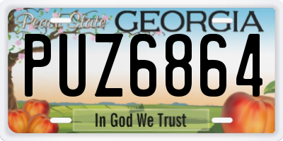 GA license plate PUZ6864