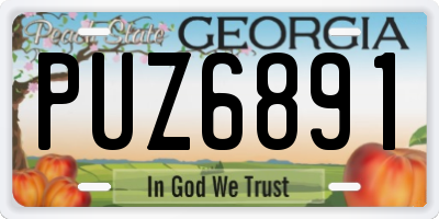 GA license plate PUZ6891